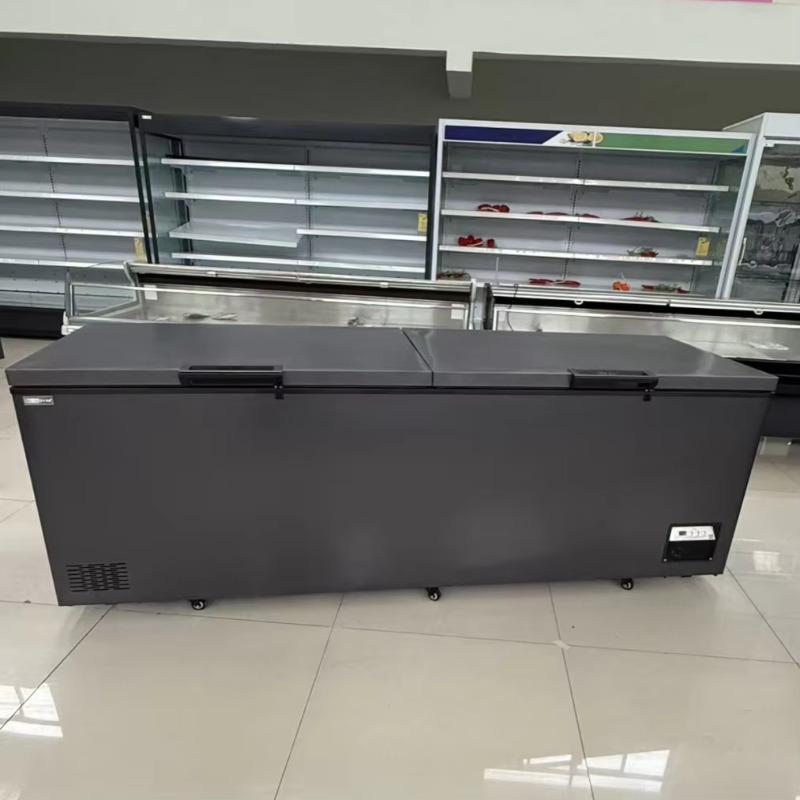 Komercyjna, dwudrzwiowa, pozio – Commercial Chest Freezer recenzja i cena