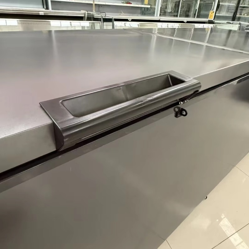 Komercyjna, dwudrzwiowa, pozio – Commercial Chest Freezer recenzja i cena