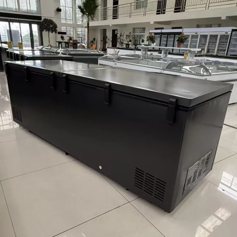 Komercyjna, dwudrzwiowa, pozio – Commercial Chest Freezer recenzja i cena